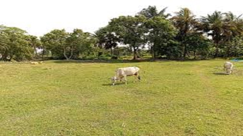 'মানচিত্রে হারানো নীল রেখা'